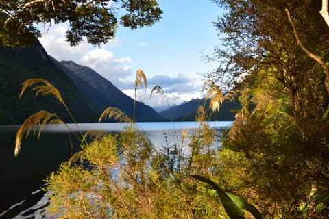 Lake Gunn Lake Gunn