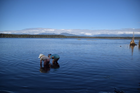 Lake Mahinapua 2