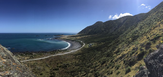 Cape Palliser