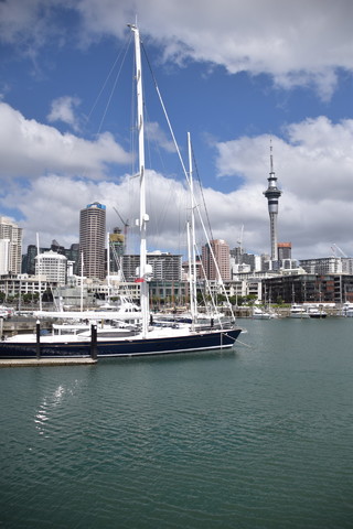 skyline Auckland